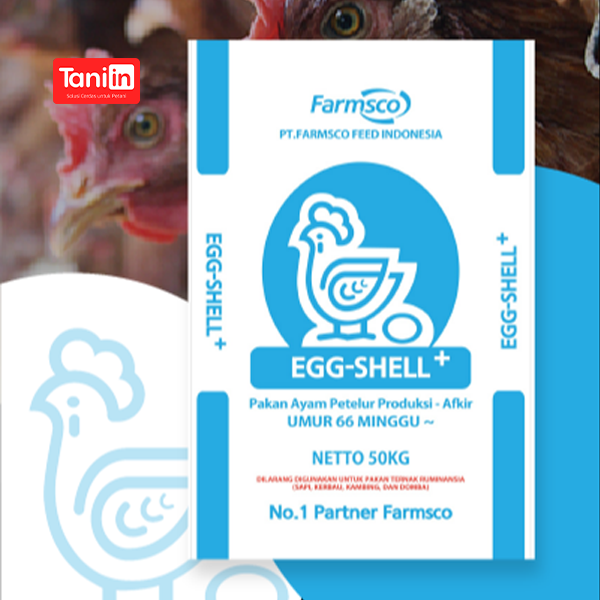 Egg Shell+ - Solusi Pintar Untuk Industri Pertanian
