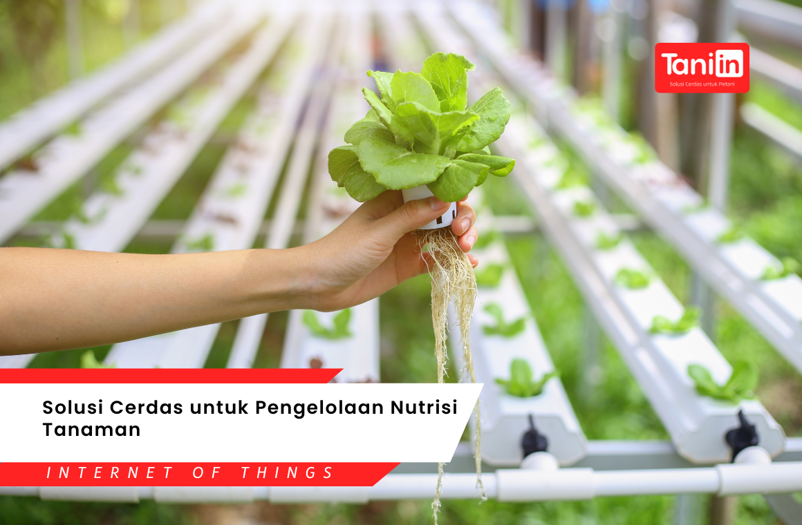 Solusi Cerdas Untuk Pengelolaan Nutrisi Tanaman